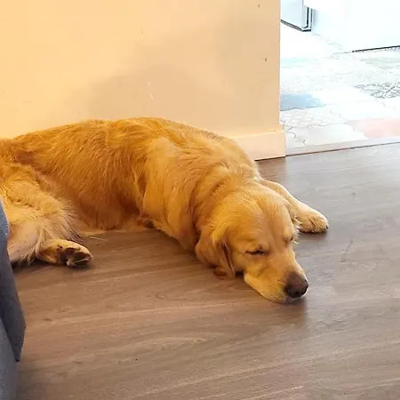 Circo Romano- Con Vistas Al Circo Petfriendly