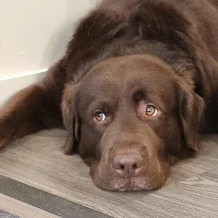 Апартаменты Circo Romano- Con Vistas Al Circo Petfriendly *