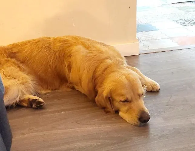 Circo Romano- Con Vistas Al Circo Petfriendly