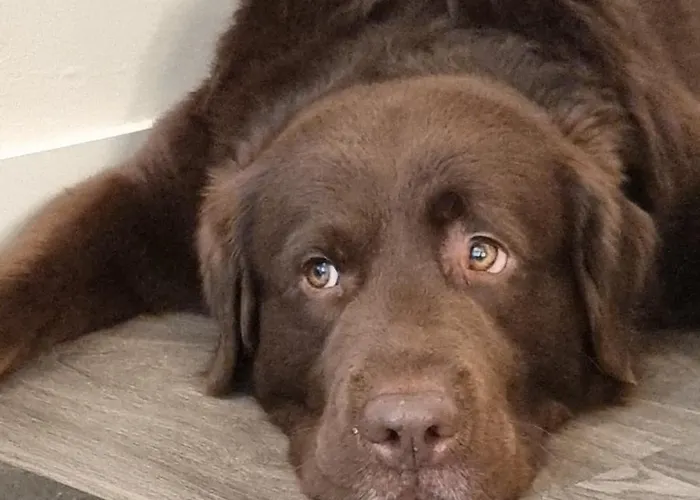 Apartmán Circo Romano- Con Vistas Al Circo Petfriendly *